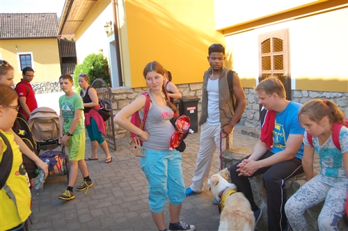Obrázek v galerii
